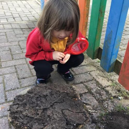 Reception have been hunting for and identifying minibeasts!