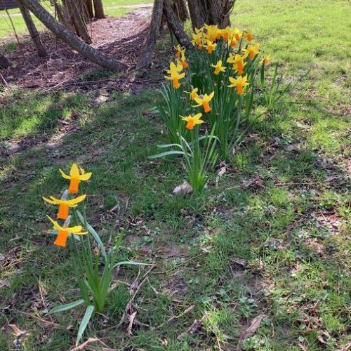 Reception hunt for signs of Spring!